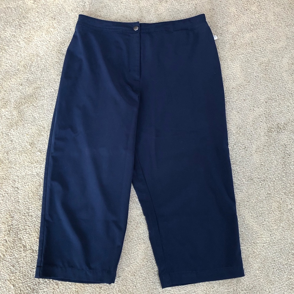 Chicos zenergy blue crop pants size 1